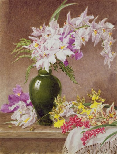 Unknown Image by Mary Elizabeth Duffield
